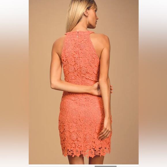 Lulus Mini Dress Love Poem Coral Orange Lace- S NWT - Picture 3 of 12